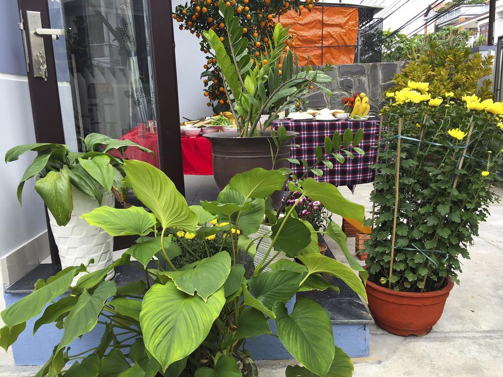 Green House Homestay هوي ان المظهر الخارجي الصورة
